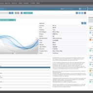 Case Study-Top 10 Global Licensor In The Animation And Gaming Industry